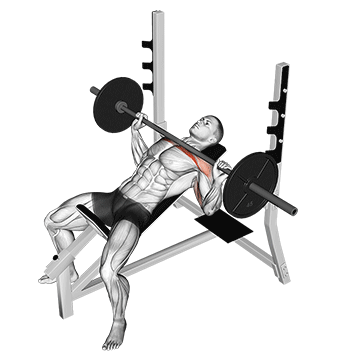 Animated demo of barbell incline bench press